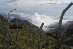 1-Madeira