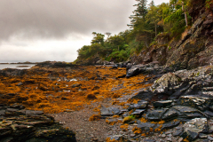 Isle-of-Skye_Schottland