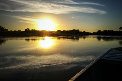 Pantanal Brasilien