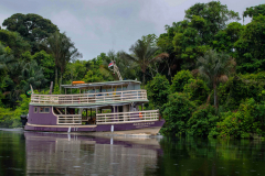 Rio-Negro_Brasilien