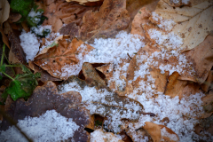 Der letzte Schnee