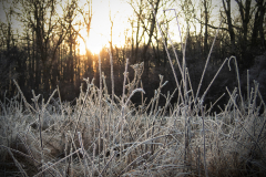 Ein eisiger Hauch des Winters