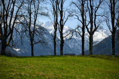 Anhöhe oberhalb des Moorweiher