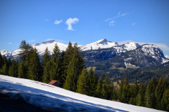 Blick auf den Hohen Ifen