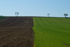 Rohrberg2