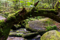 2-Das-Hoelltal-im-Bayerischen-Wald