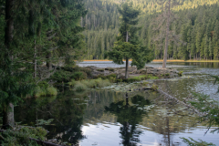 6-Arbersee